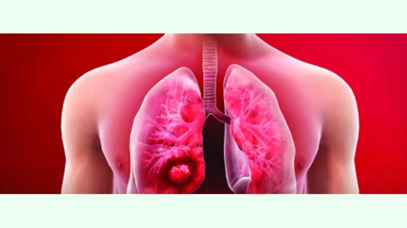 Eshakda tugatgandan keyin jinsiy aloqa