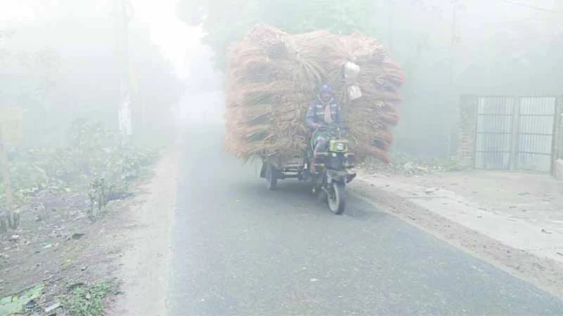 শীতের তীব্রতা কিছুটা কমেছে