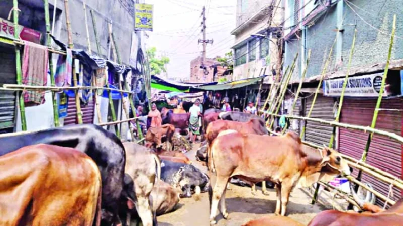 থানার নাকের ডগায় রাস্তা দখল করে পশুর হাট