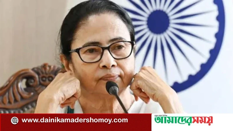 ভারতে আটকে যাচ্ছে সোনিয়ার আত্মজীবনী